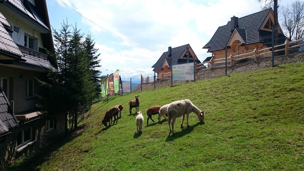 Willa Skorusyna Bed and Breakfast Gliczarów Exterior foto